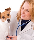 Veterinary Services